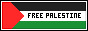 button with the palestinian flag reading 'free palestine' on it.